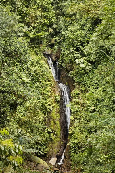 Vodopád Severní Americe Deštný Prales Zavěšení Mostů Arenal Costa Rica — Stock fotografie
