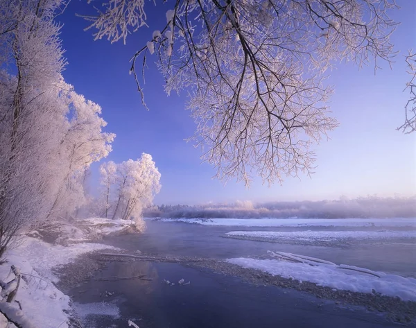 イザール川 ババリア ドイツ ヨーロッパの冬 — ストック写真