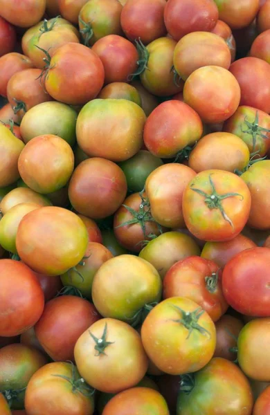 Ekologiska blandade tomater — Stockfoto