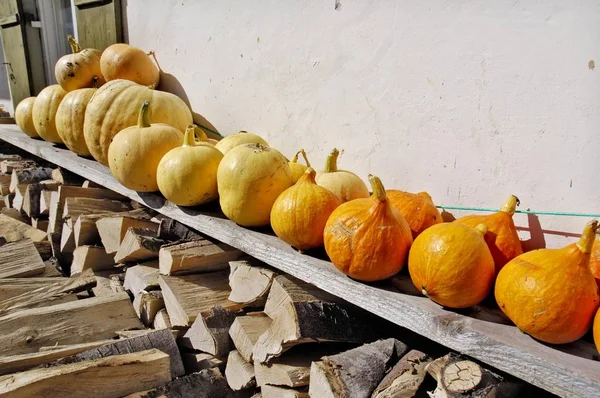 Φθινόπωρο Σεζόν Κολοκύθες Λαχανικό Ξύλινη Σανίδα Εξωτερικούς Χώρους — Φωτογραφία Αρχείου