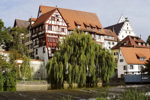 Riedlingen Sul Distretto Danubiano Biberach Baden Wuerttemberg Germania — Foto Stock