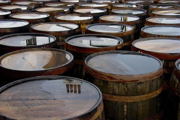 Scotch Whisky Mognad Begagnade Ekfat — Stockfoto