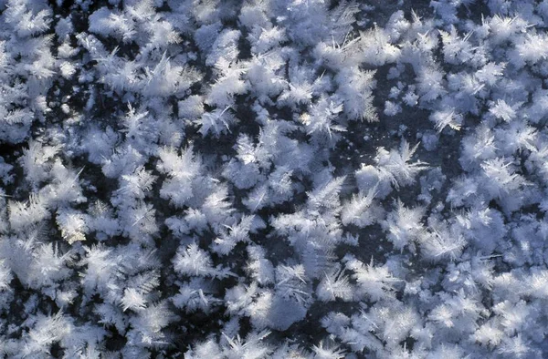 Ijs Kristallen Achtergrond Met Bevroren Patroon — Stockfoto