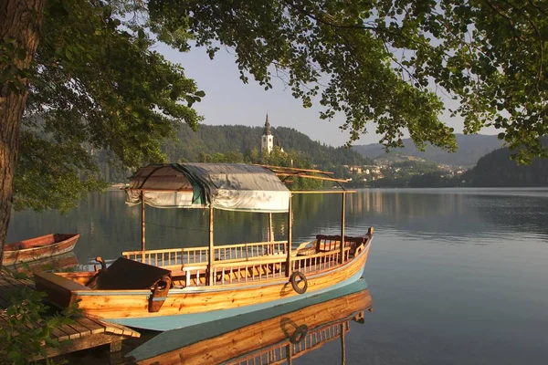 Sjön Bled Med Båt Och Otok Morgonen Slovenien Issjö Extrema — Stockfoto