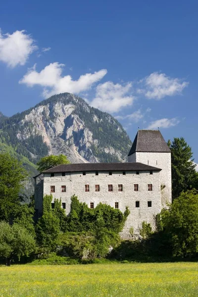 Castle Lichtwarth Mnster Tyrol Austria — Stock Photo, Image