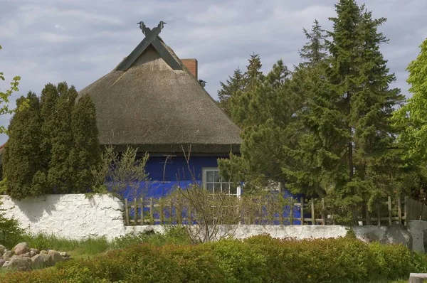 Hiddensee Ilha Mecklenburg Vorpommern Alemanha Vitte Blaue Scheune Celeiro Azul — Fotografia de Stock