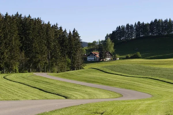 Kleine Straße Allgu Deutschland — Stockfoto