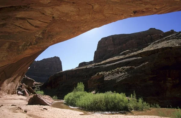 Usa Utah Glen Schlucht Bereich Coyote Gulch — Stockfoto