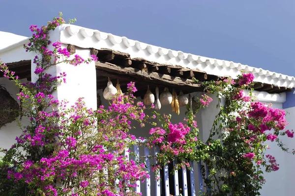 Trui ドすることができます Andeu イビサ島のサン カルレス Paralta の典型的な 世紀の家 — ストック写真
