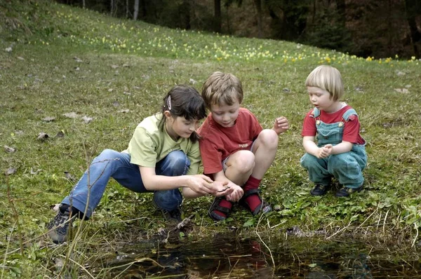 Des Enfants Dans Petit Étang Ont Attrapé Triton Triturus Alpestris — Photo