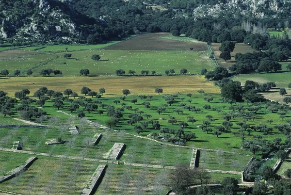 Mallorca Serra Tramuntana Χωράφια Κοντά Στο Μοναστήρι Lluc — Φωτογραφία Αρχείου