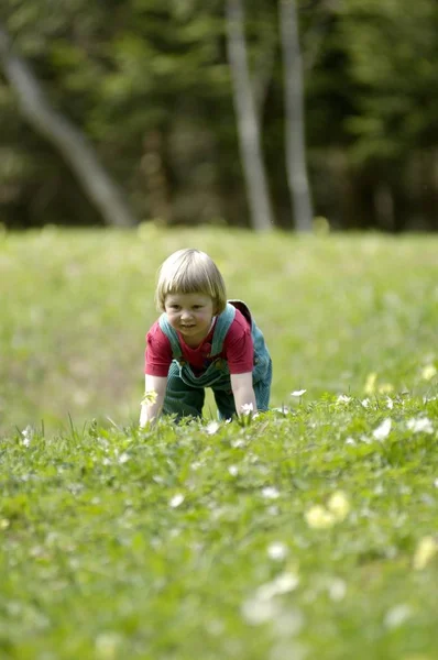 Treårig Flicka Äng Våren — Stockfoto