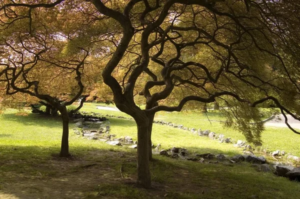 Turin Torino Piedmont Piemonte Italy Parco Valentino — Stock Photo, Image