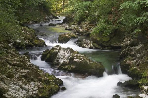 Vintgar Gorge Med Radovna Floden Nära Bled Triglav Nationalpark Slovenien — Stockfoto