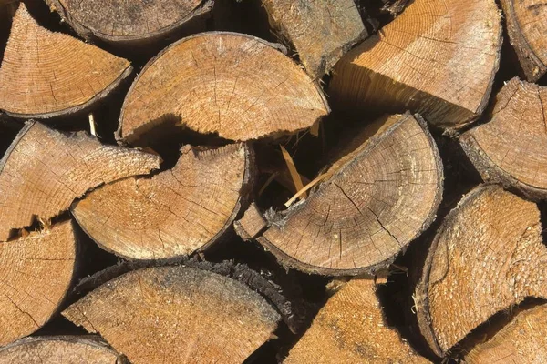 Närbild Korrekt Staplad Ved — Stockfoto