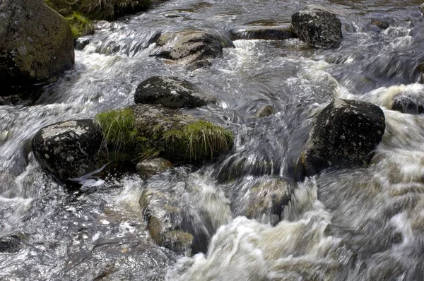 Floden Dart Nära Whistmans Trä Dartmoor National Park Devon England — Stockfoto