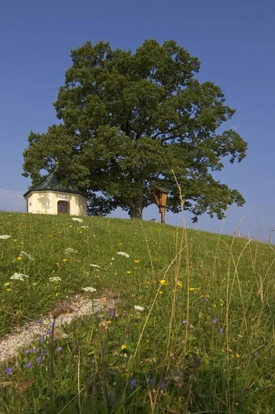 Utkik Pekar Och Titta Kapellet Samerberg Söder Rosenheim Oberbayern — Stockfoto