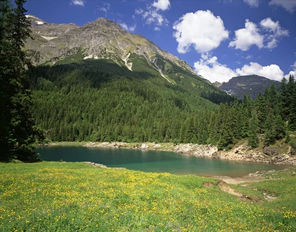 Obernberger Tal Obernberger Valley Side Dal Wipptal Tyrolen Österrike Obernberger — Stockfoto