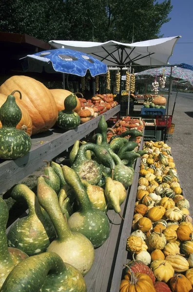 Temporada Otoño Calabazas Verduras Mercado Callejero — Foto de Stock