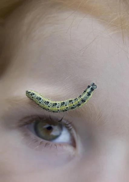 Böcekli Bir Çocuğun Yüzüne Yakın Çekim — Stok fotoğraf