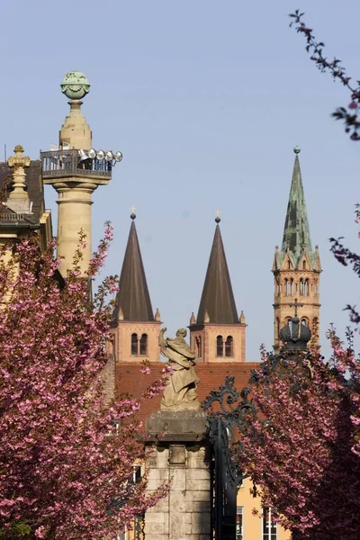 Wrzburg Hofgarten Cathedral Wuerzburg Franconia Bawaria Niemcy — Zdjęcie stockowe