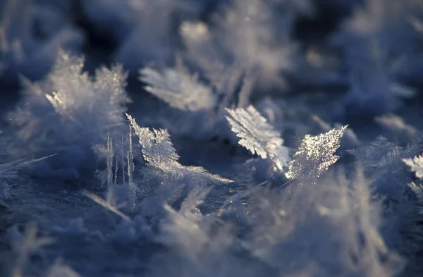 Кристаллы Льда Фон Замороженным Рисунком — стоковое фото