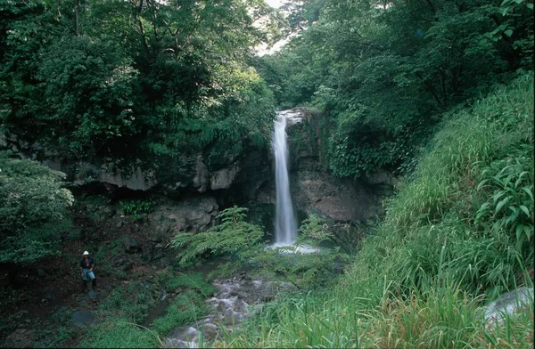 Vodopád Rincon Vieja Cordillera Guanacaste Kostarika — Stock fotografie