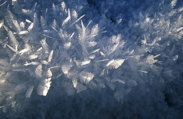 Cristaux Glace Fond Avec Motif Congelé — Photo