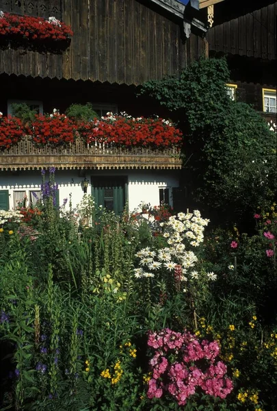 Wackersberg Upper Bavaria Germany — Stock Photo, Image