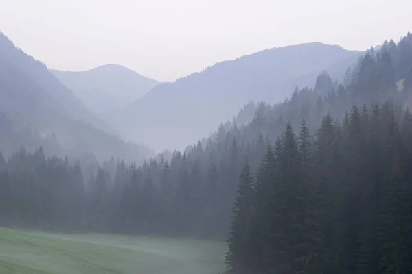 Nebbia Mattutina Nel Nationalpark Nockberge Carinzia Austria — Foto Stock