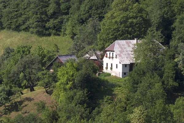 Luce Savinja Valley Słowenia — Zdjęcie stockowe