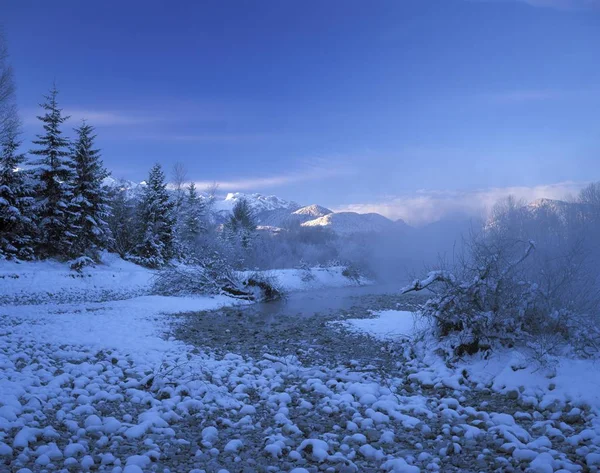 Winter Ochtend Isar Rivier Arzbach Beieren Duitsland — Stockfoto