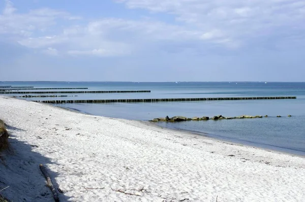 Hiddensee Eiland Mecklenburg Voor Pommeren Westelijke Strand Met Golfbrekers — Stockfoto