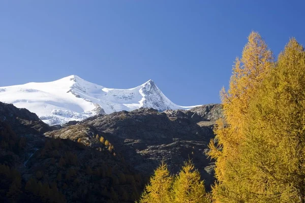 Parque Nacional Hohe Tauern Venedigergruppe Montañas Valle Gschlss Tirol Oriental —  Fotos de Stock