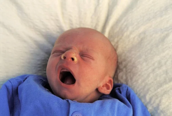 Триденне Дитяче Позіхання — стокове фото