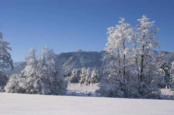 Sneeuw Bedekt Winterlandschap Met Berg — Stockfoto