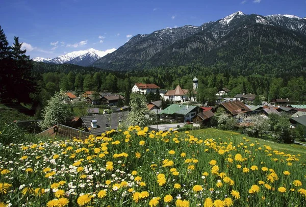 Obergrainau Hoher Ziegspitz Mountain Upper Bavaria Germany — Stock Photo, Image