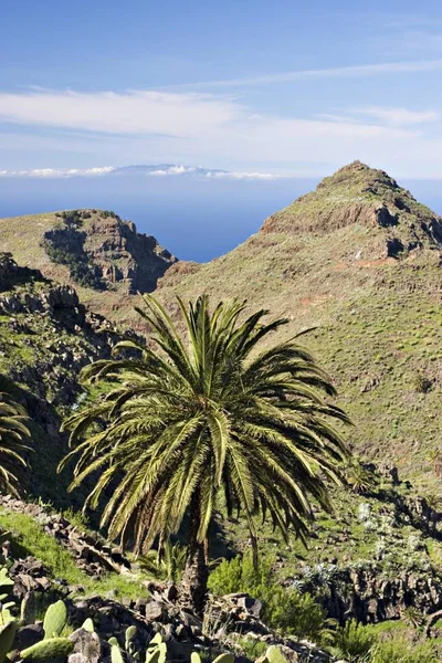 Barranco Argaga Gomera Κανάριοι Νήσοι — Φωτογραφία Αρχείου