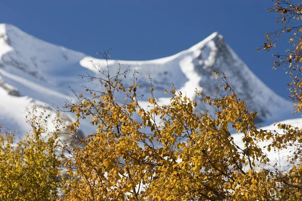 Parque Nacional Hohe Tauern Venedigergruppe Montañas Valle Gschlss Tirol Oriental — Foto de Stock