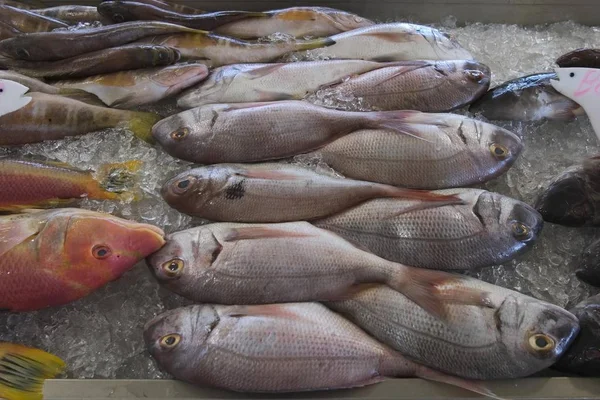 Fiskmarknaden Santa Cruz Madeira — Stockfoto