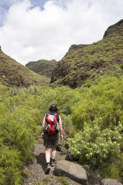 Barranco Rajita Gomera Îles Canaries — Photo