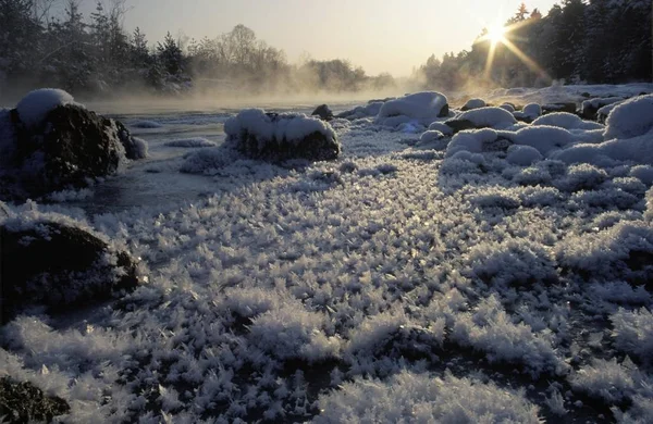 冬の日の出川 Isar Bavaria Germany — ストック写真