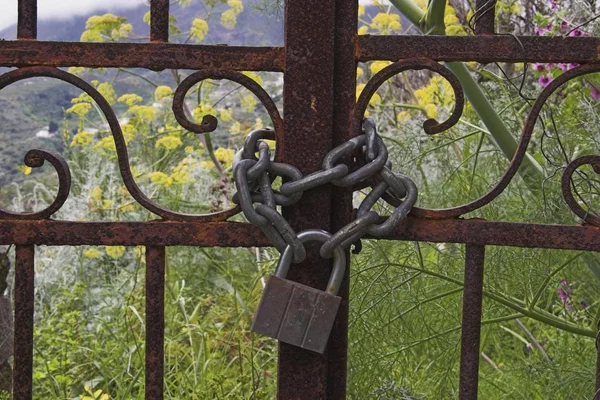 Πύλη Εξασφαλίζεται Μια Ισχυρή Κλειδαριά Και Αλυσίδα Οδηγεί Έναν Άγριο — Φωτογραφία Αρχείου
