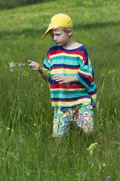 Årig Pojke Samlar Blommor — Stockfoto