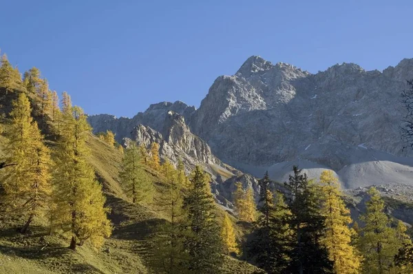 Eng Valley Rissbachvalley Tyrol Austria Way Binsalm View Hochglck — Stock Photo, Image