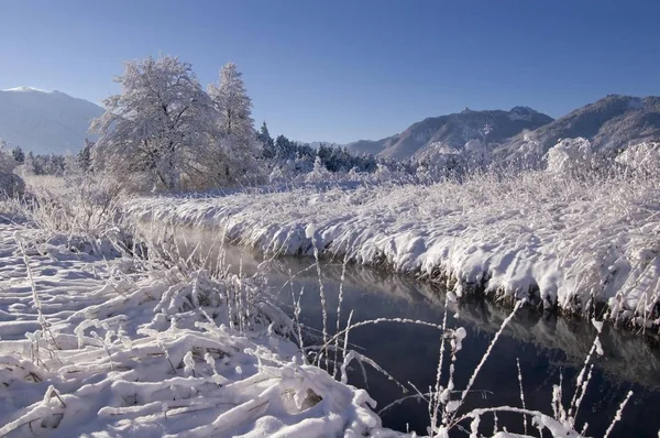 Sneeuw Bedekt Winterlandschap Murnauer Moos Moor Buurt Van Murnau Opper — Stockfoto