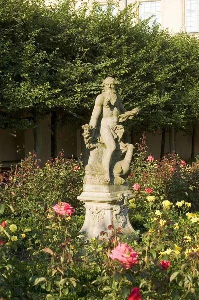 Уппер Франческа Бавария Германия Новый Розовый Сад — стоковое фото