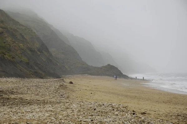 侏罗纪海岸悬崖 Charmouth 附近莱姆斯赛特东部德文郡海岸英格兰 — 图库照片