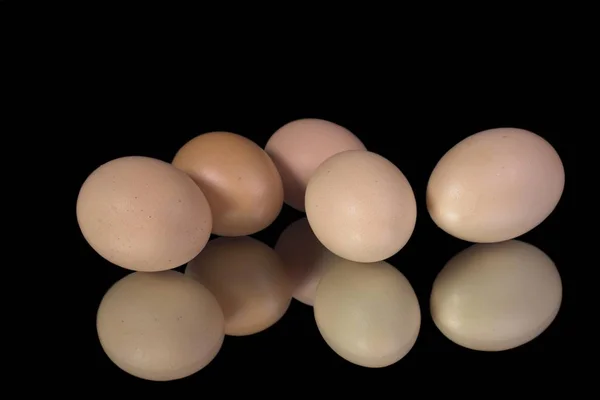 Chicken Eggs Studio Shots Isolated Black — Stock Photo, Image