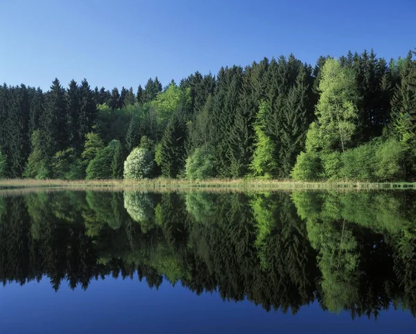 Sjön Thanninger Weiher Oberbayern — Stockfoto